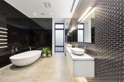 Modern black and white bathroom